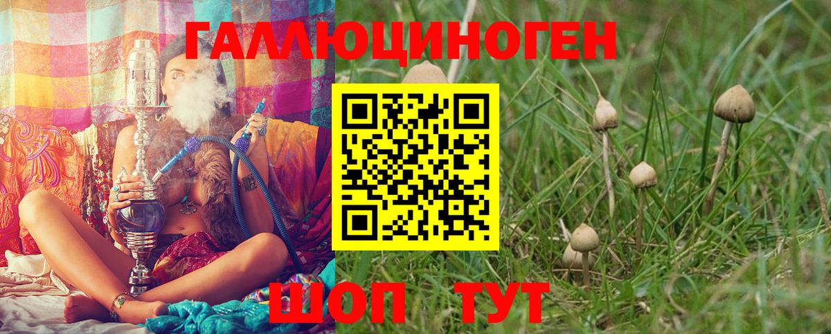Югорск  Псилоцибиновые грибы ЛСД  Вход с VPN 